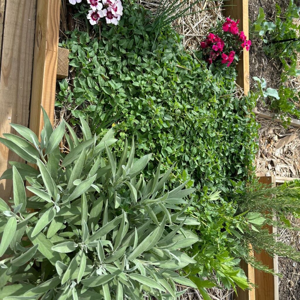 Instagram post from building.future. This post is in position 3.