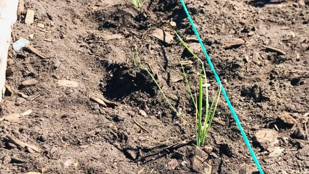 Instagram post from eaglesnestladi. This post is in position 15.