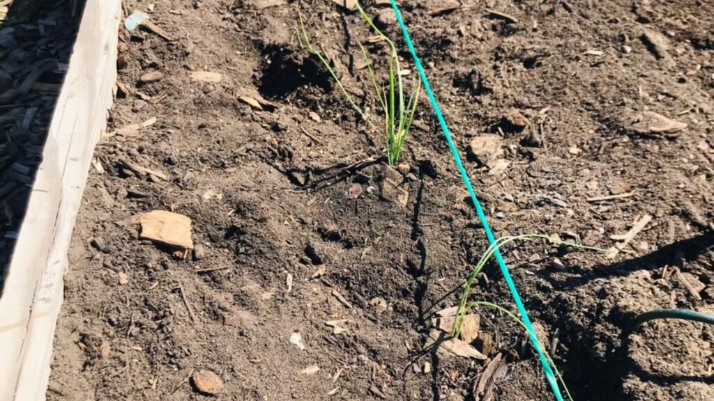 Instagram post from eaglesnestladi. This post is in position 19.