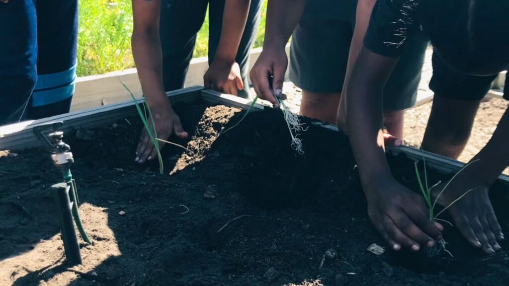 Instagram post from eaglesnestladi. This post is in position 18.